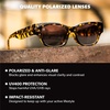 image:imageKnockaround Trendy Narrow Cat Eye Rectangle Polarized Sunglasses for WomenLe Grand Amour Tortoise  Smoke Gradient