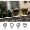 image:imageKnockaround Trendy Polarized Sunglasses for Women  UV400 ProtectionAged Sage  Amber Songbirds