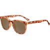 Glossy Blonde Tortoise Shell / Amber