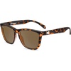 Tortoise Shell / Amber